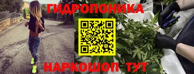 мяу мяу мука Владимир