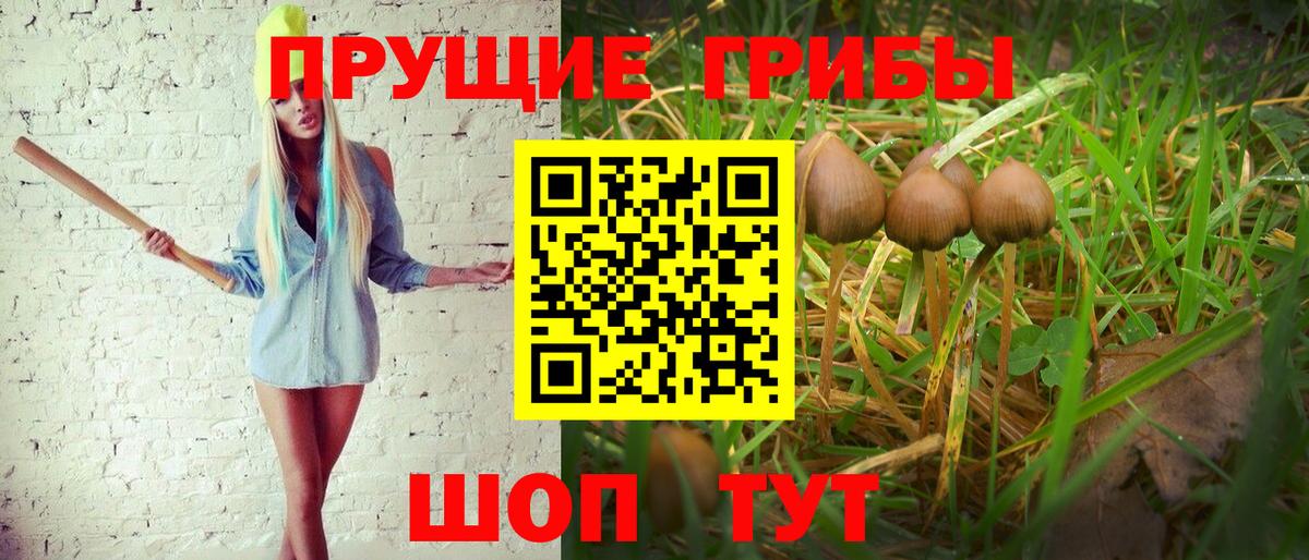 Белебей  Галлюциногенные грибы Cubensis  Вход с VPN  Галлюциногенные грибы MAGIC MUSHROOMS 